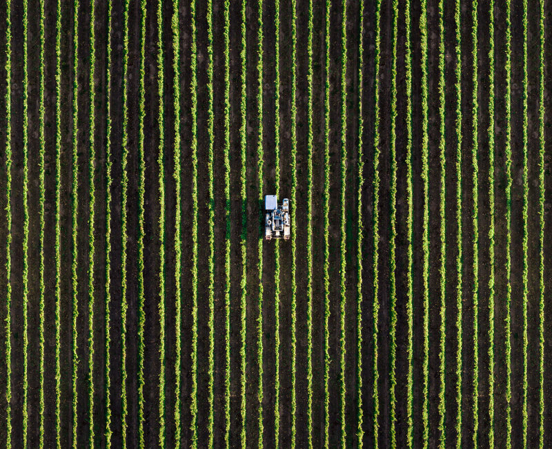 Landwirtschaftliche Ernte