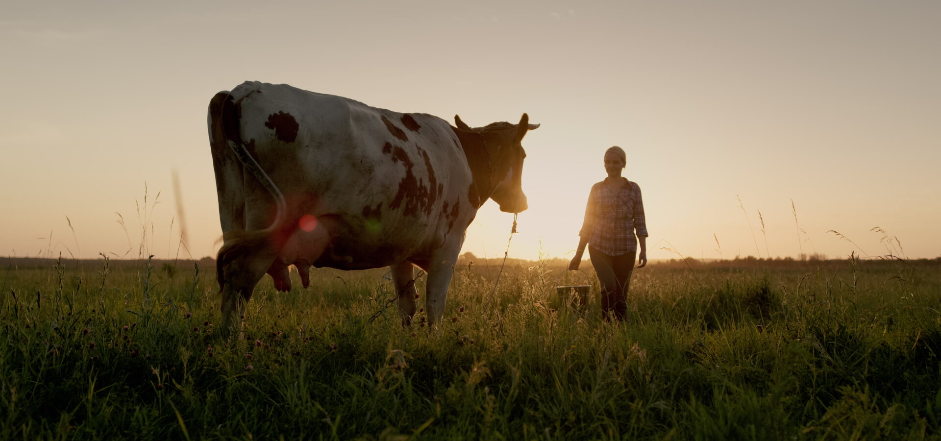 Eine Bäuerin geht bei Sonnenuntergang mit einem Eimer zu ihrer Kuh. Konzept für kleine Agrarunternehmen